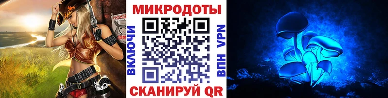 купить  сайты  Курлово  Галлюциногенные грибы мицелий 