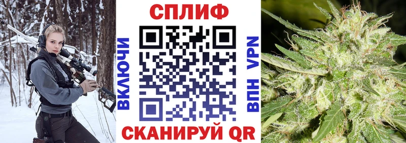 Бошки Шишки сатива наркошоп Курлово